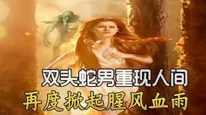 流星蝴蝶剑2010